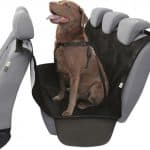 Protector asiento rex II