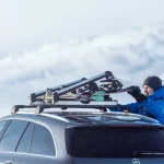 Thule portaesquis