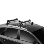 Portaesquis Thule SnowPack Extender