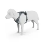 Thule_Dart_Harness_M_L_XL_DarkSlate_771208