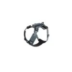 Thule_Dart_Harness_XS_DarkSlate_C_771205