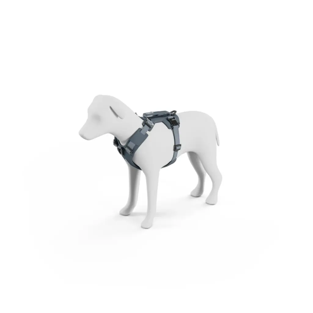 Thule_Dart_Harness_XS_S_DarkSlate_A_771206