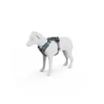 Thule_Dart_Harness_XS_S_DarkSlate_A_771206