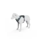 Thule_Dart_Harness_XS_S_DarkSlate_IA_771206