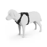 Thule_Dart_Harness_hero_M_L_XL_Black_771203