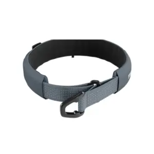 Thule_Dart_Martingale