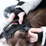 Thule_Dart_harness04