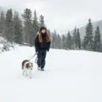 Thule_Dart_leash_harness_