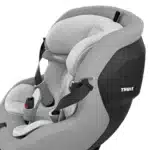Thule Elm