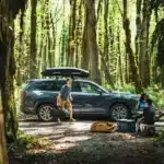 Thule Force 3 maletero techo coche