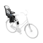 hule_RideAlong2_sillita_bici_100206